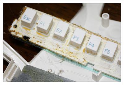 Something disgusting on the function keys